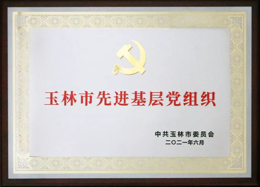 2021年6月 玉林市先进基层党组织